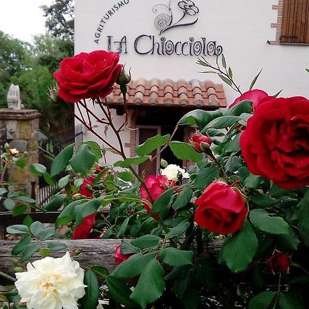 Agriturismo La Chiocciola Poggio Murella ภายนอก รูปภาพ