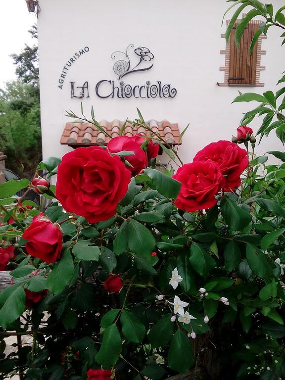 Agriturismo La Chiocciola Poggio Murella ภายนอก รูปภาพ