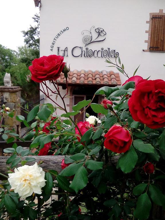 Agriturismo La Chiocciola Poggio Murella ภายนอก รูปภาพ