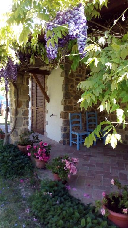 Agriturismo La Chiocciola Poggio Murella ภายนอก รูปภาพ