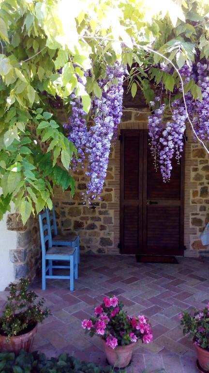 Agriturismo La Chiocciola Poggio Murella ภายนอก รูปภาพ
